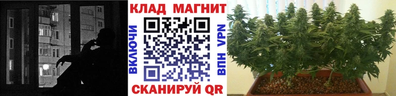 Где продают наркотики Семёнов Гашиш Амфетамин Меф мяу мяу mega онион Канабис КЕТАМИН