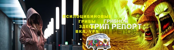 индика Краснослободск