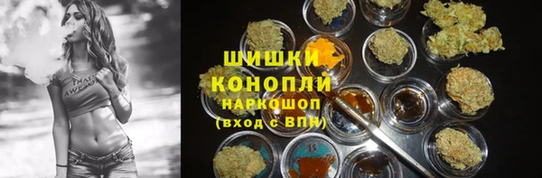 индика Краснослободск