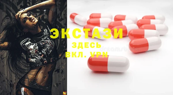индика Краснослободск