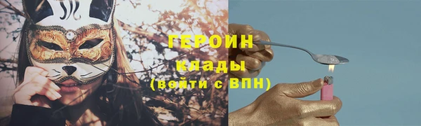 индика Краснослободск