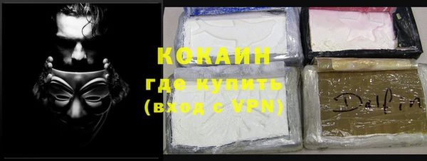 индика Краснослободск