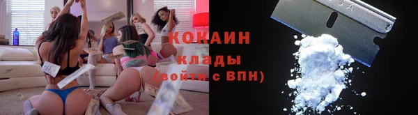 индика Краснослободск