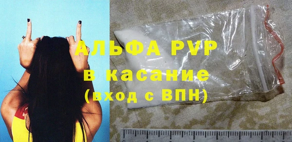 индика Краснослободск