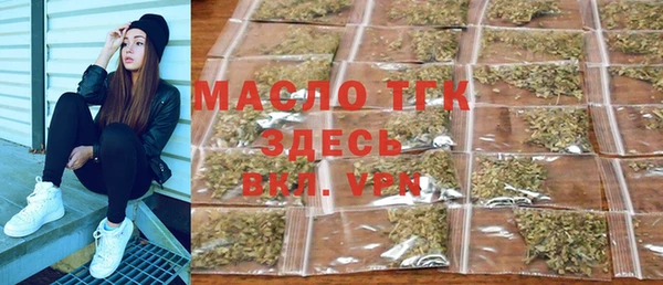 индика Краснослободск