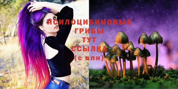 индика Краснослободск