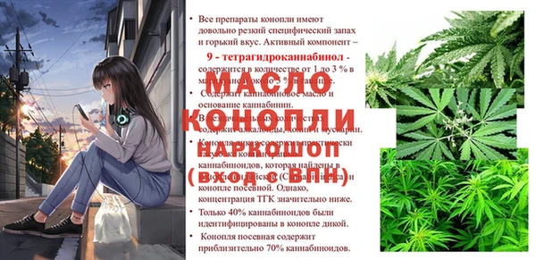 индика Краснослободск