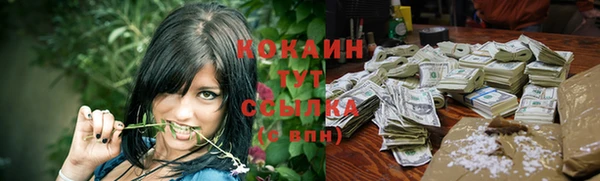 индика Краснослободск