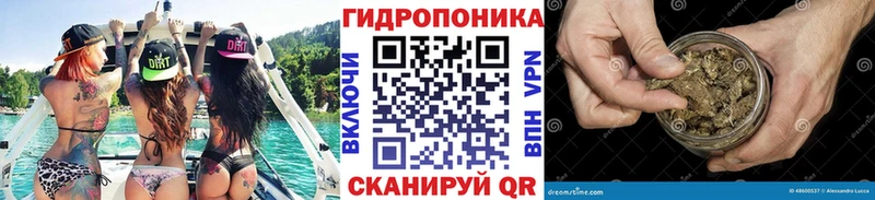 где найти   Семёнов  Бошки марихуана Amnesia 